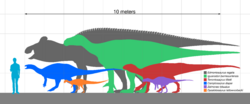 Iguanodontian Sizes.svg