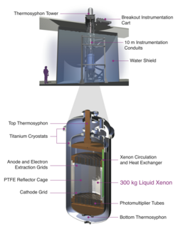Schematic of the Large Underground Xenon detector