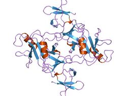 PDB 1gri EBI.jpg