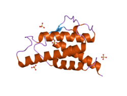 PDB 2b8z EBI.png