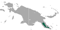 Papuan Bandicoot area.png