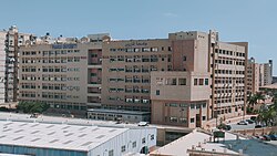 Pharos University in Alexandria.jpg