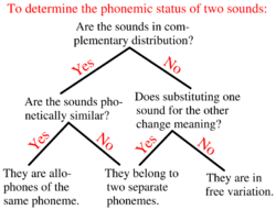 Phoneme-allophone-determination-chart.svg