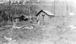 A black and white photo of two log cabins in a lightly wooded area.