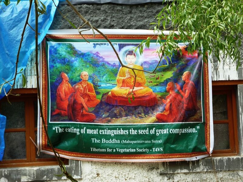 File:Sign promoting vegetarianism at Key Monastery, Spiti, India.jpg