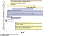 Typology of Violence Against Women over Time.png