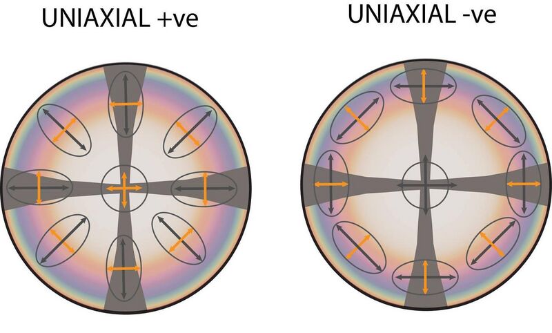 File:Uniaxial interference figures.jpg