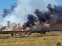 Wildfire near Cedar Fort, Utah.jpg
