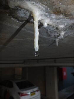Calthemite straw stalactite.jpg