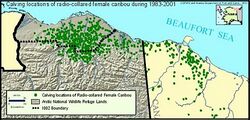 Caribou calving map.jpg