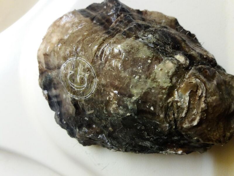File:Coquille d'huître Gillardeau marquée au laser.jpg