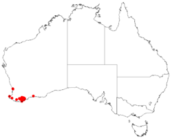 Hakea ambiguaDistMap5.png