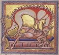 Folio 11 Verso - Hyena (Detail)