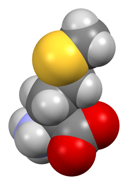 File:L-methionine-from-xtal-Mercury-3D-sf.png