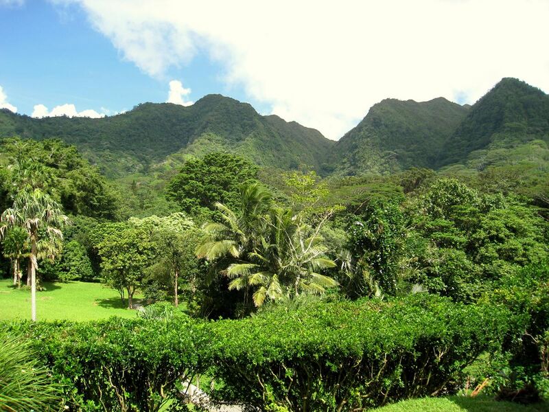 File:Lyon Arboretum, Oahu, Hawaii - general view.jpg