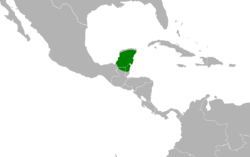 Nyctiphrynus yucatanicus map.svg