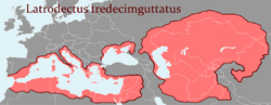 Population area of the Latrodectus tredecimguttatus.png