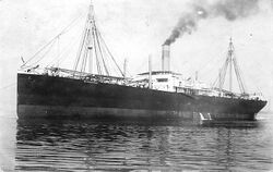 SS Minnesotan.jpg