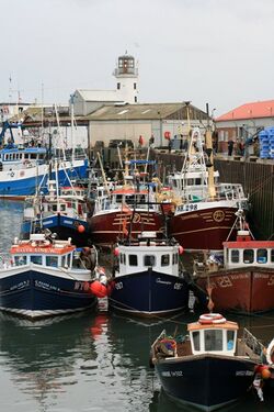 Scarborough's Fishing Fleet - geograph.org.uk - 503554.jpg