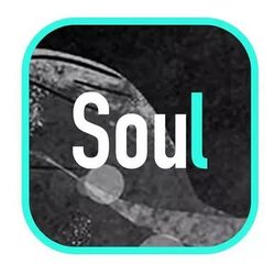 Soul App logo.jpg