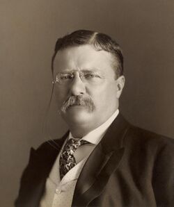 Theodore Roosevelt by the Pach Bros.jpg