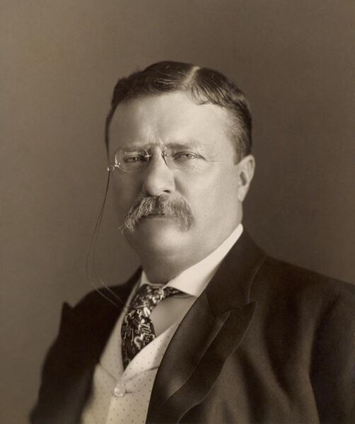 File:Theodore Roosevelt by the Pach Bros.jpg