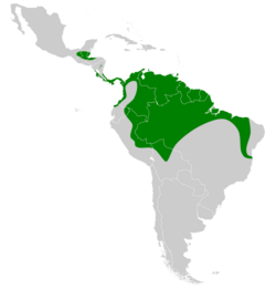 Tonatia saurophila map.svg