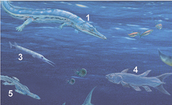 Triassic marine vertebrate predators detail1.png