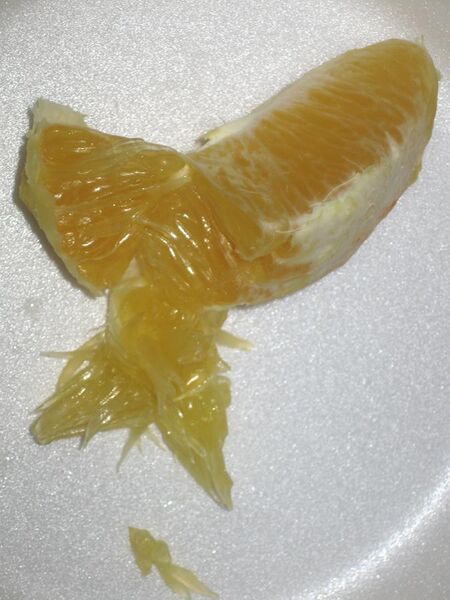 File:Citrus pulp1.JPG