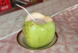 Cut open coconut with straw