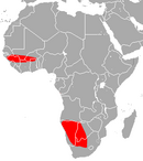 Angola, Botswana, Ghana, Guinea, Guinea-Bissau, Namibia, South Africa, and Zimbabwe