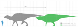 Edmontosaurus scale.png