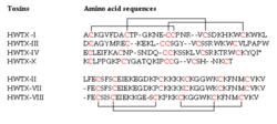 HWTX amino acid sequences.png