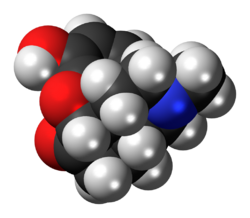 Hydromorphone molecule spacefill.png