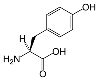 L-tyrosine-skeletal.png