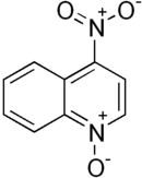 Structural formula of 4-nitroquinoline 1-oxide