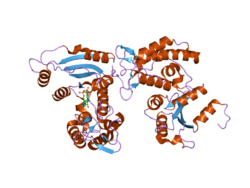 PDB 2pgj EBI.png