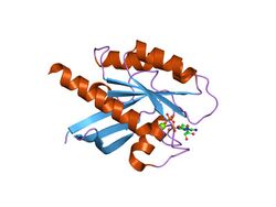 PDB 2q21 EBI.jpg