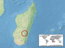 Phelsuma gouldi distribution.png