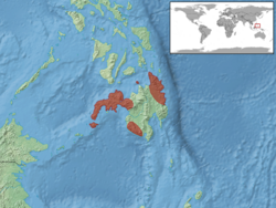 Tropidophorus misaminius distribution.png