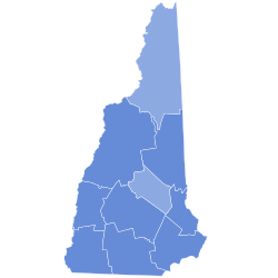 2024 New Hampshire Democratic Presidential Primary County Map.svg