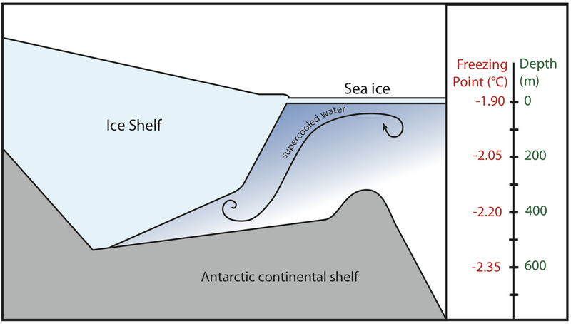 File:Antarctic Ice shelves drive the formation of supercooled seawater.png