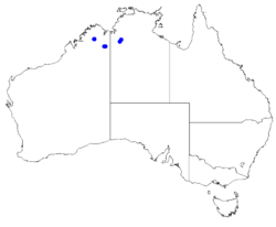 Boronia jucunda DistMap65.png