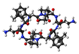 Ball-and-stick model of the Gramicidin S molecule