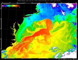 Modis brighttemp glfstr lrg.jpg