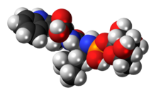Space-filling model of the phosphoramidon molecule