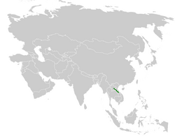 Pycnonotus hualon distribution map.png