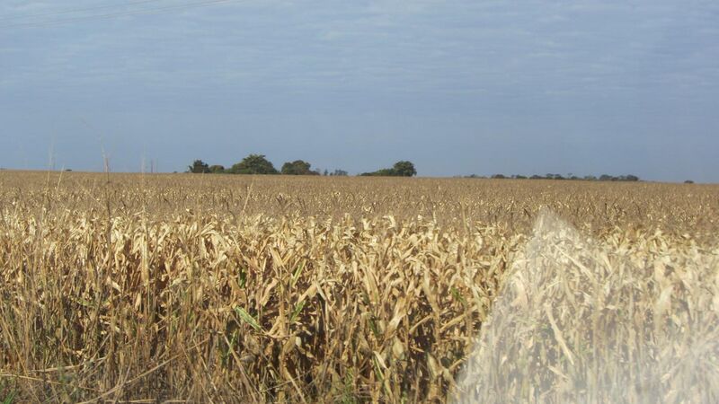 File:Rota Alternativa Paraguai - Rio Preto - 2 - panoramio.jpg