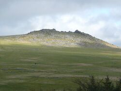 Rough Tor, Advent - geograph.org.uk - 1322193.jpg