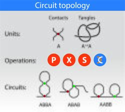 Schematic description of circuit topology.jpg